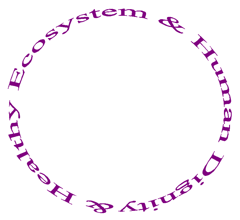 & Healthy Ecosystem & Human Dignity